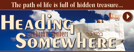 HeadingSomewhere-TS_Chabadorg.jpg