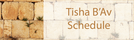 9 av banner.jpg